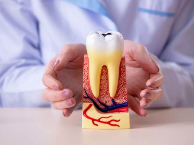 estuidos protesico dental estuidos protesico dental