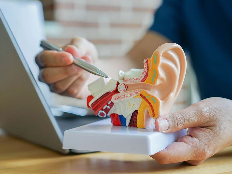 audiometria audiometria