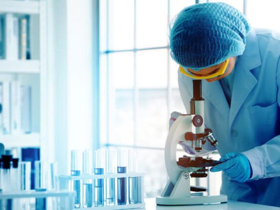 La Carrera Criminalistica Y Sus Salidas Profesionales La Carrera Criminalistica Y Sus Salidas Profesionales